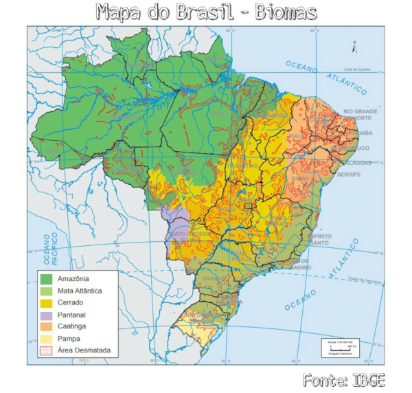 BIOMAS BRASILEIROS - Parte 1, GEOGRAFIA, Mapa Mental