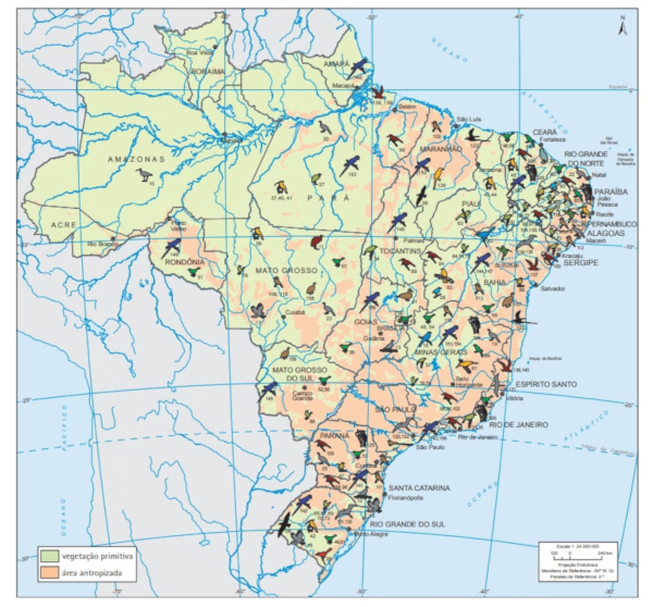 Mapa Do Brasil Mapa Politico Mapa Para Colorir E Muito Mais